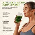 Modern Antidote Cellular Detox - Lemon Lime